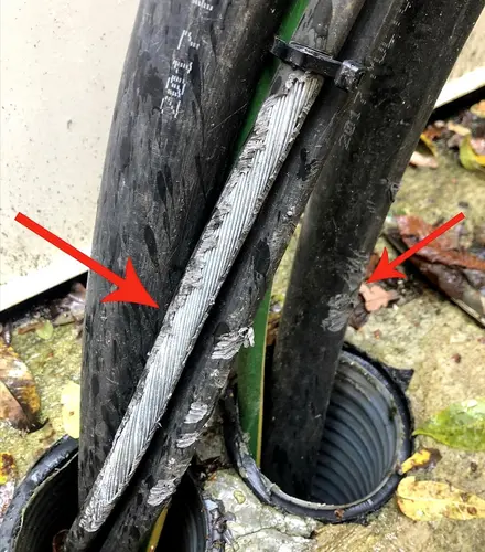 Power continuity rat damage to cables